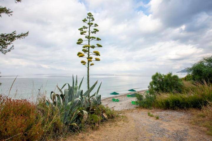 Mola Kaliva Sea View, 100M From The Beach! Dış mekan fotoğraf